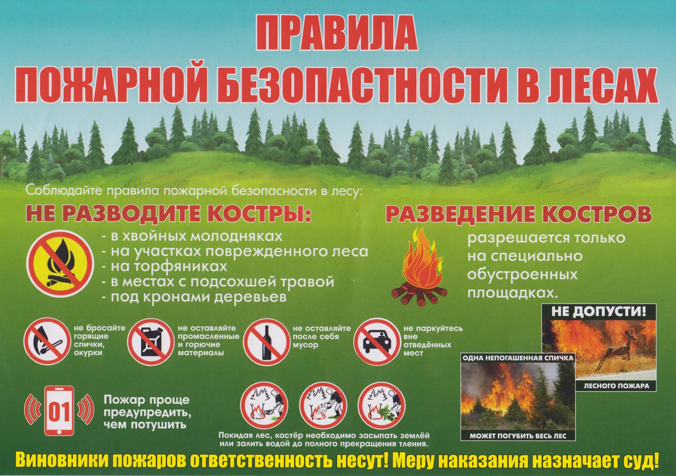 правила пожарной безопасности в лесах.